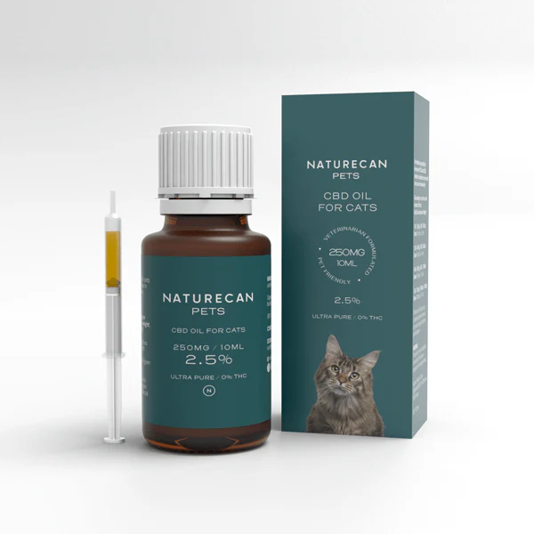 CBD-Olja Katt