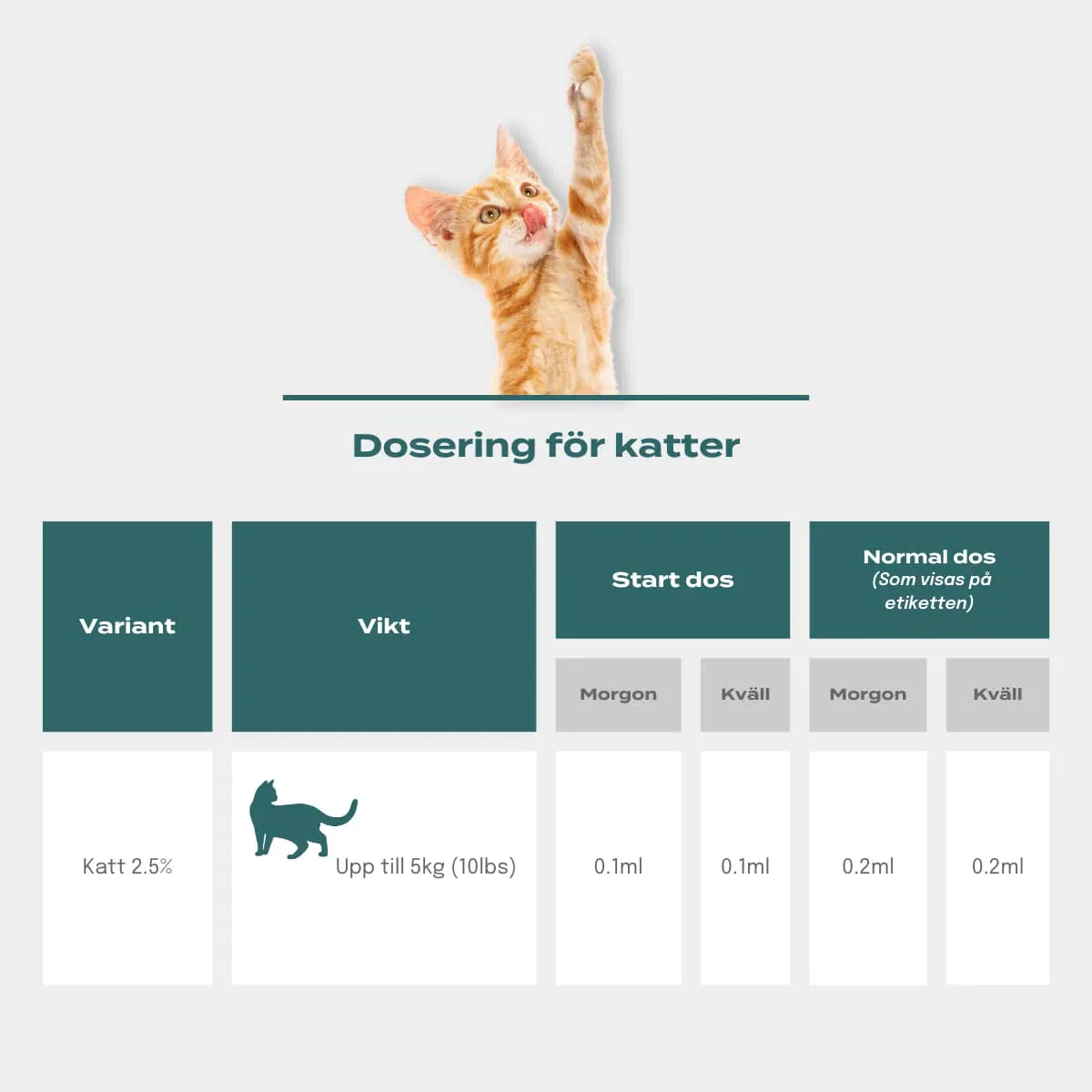 CBD-Olja Katt - Image 3