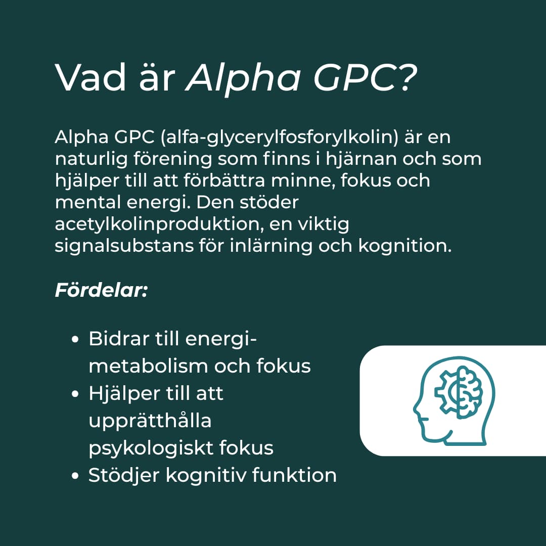 Alpha GPC - Image 4