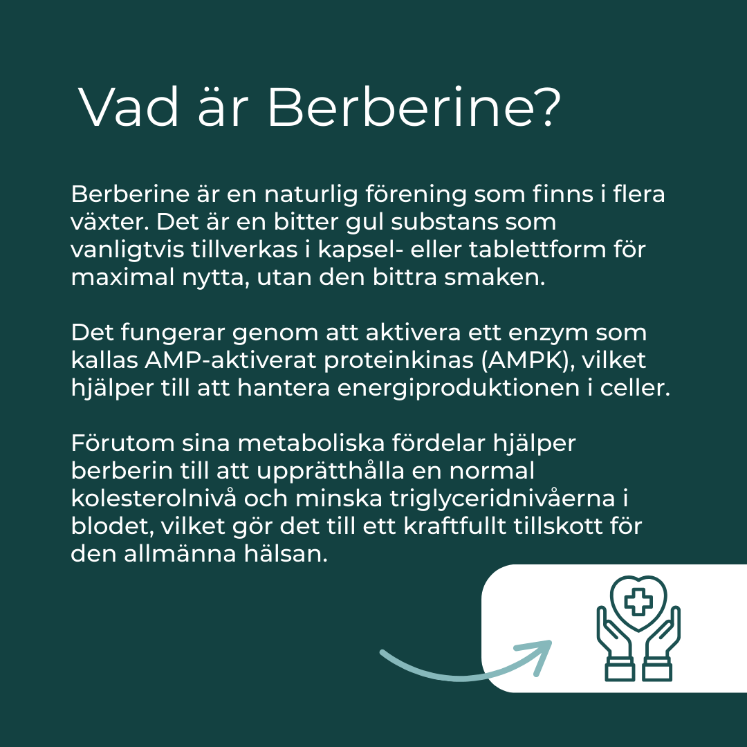 Berberine - 100% Ren & Naturlig - Image 5