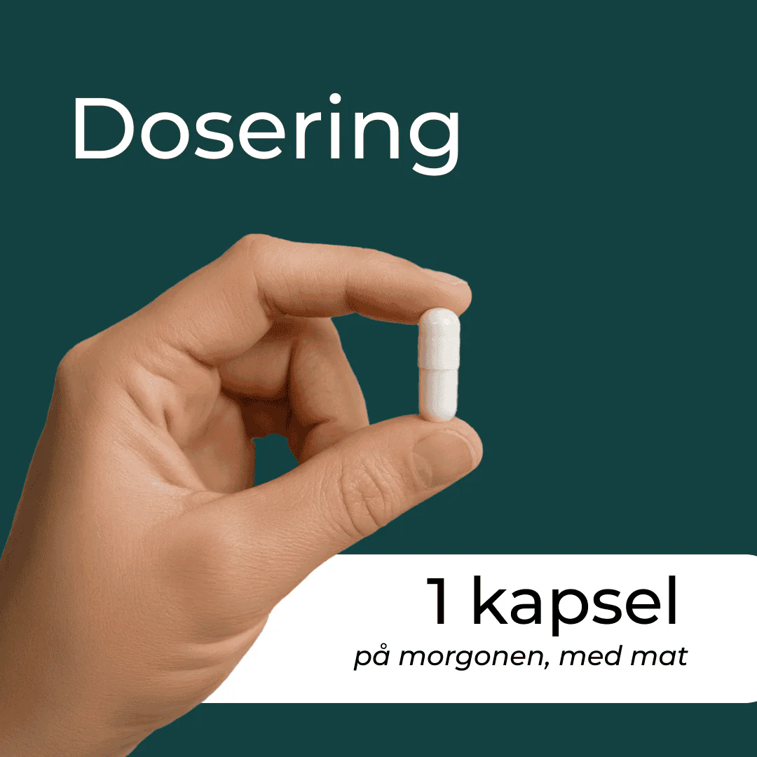 Berberine - 100% Ren & Naturlig - Image 8