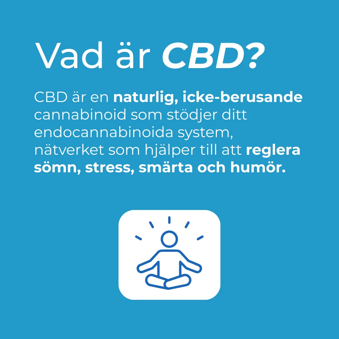 CBD Ashwagandha Relax Gummies - Image 4