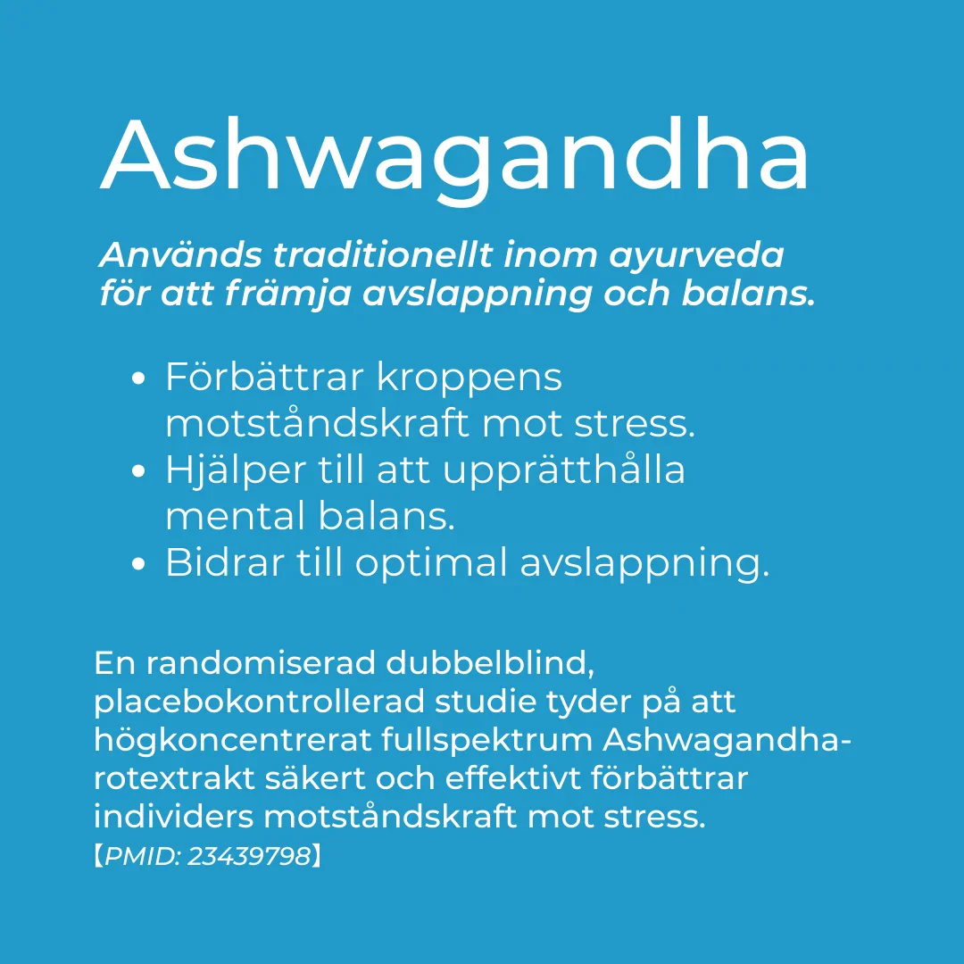 CBD Ashwagandha Relax Gummies - Image 5