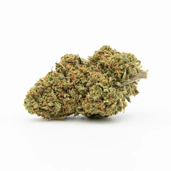 CBD Buds - Gorilla Glue - Image 2