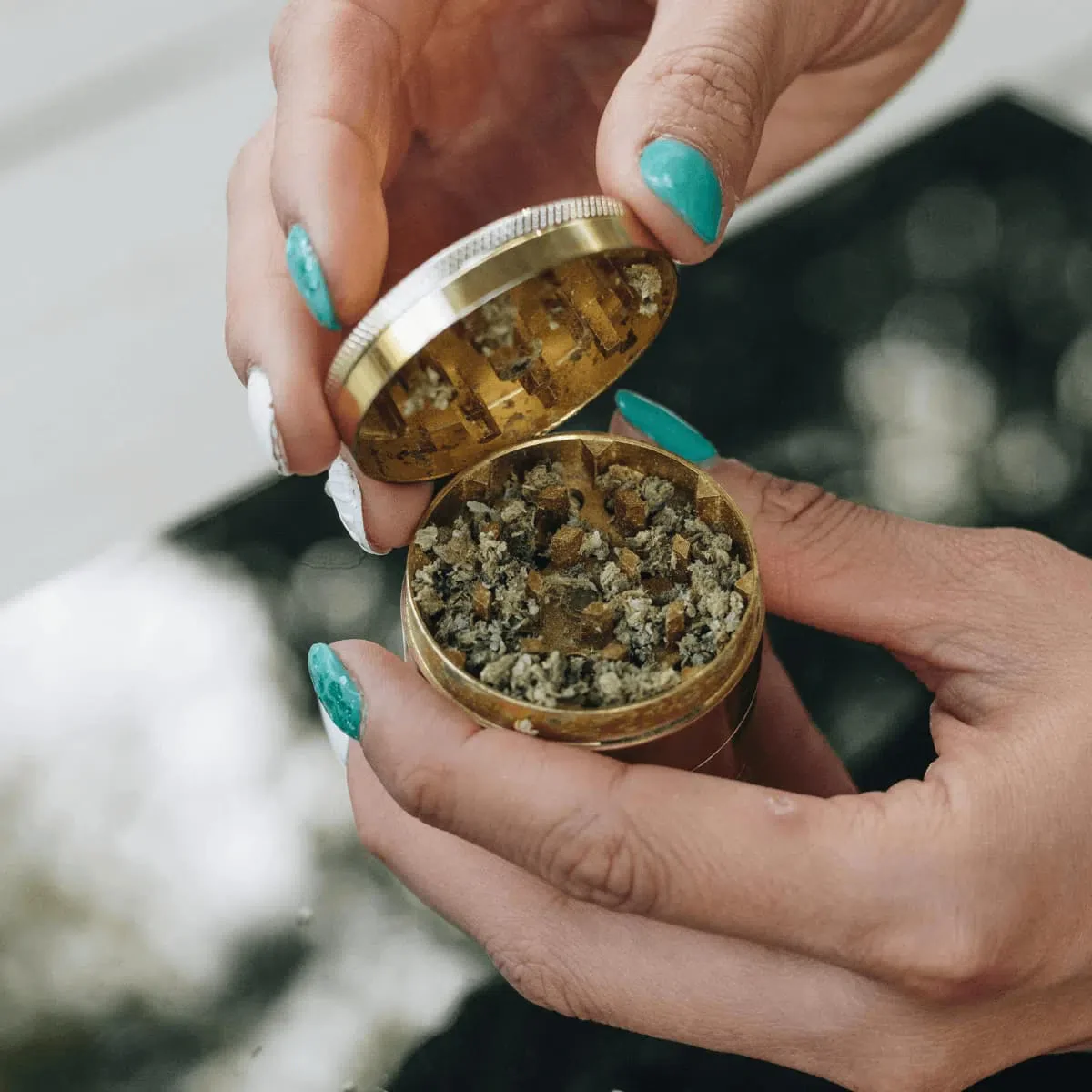 CBD Buds - Gorilla Glue - Image 3