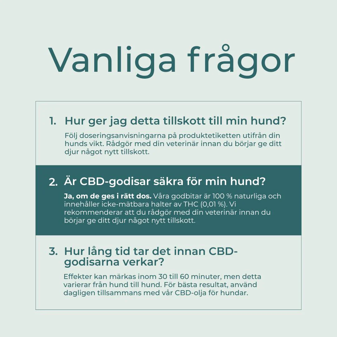 CBD Hundgodis - Lugnande - Image 8