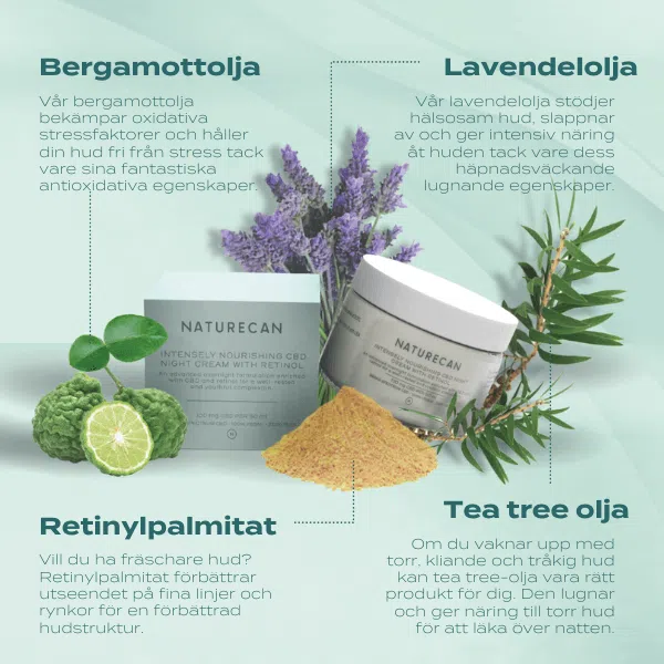 CBD Nattkräm med Retinol - Image 3