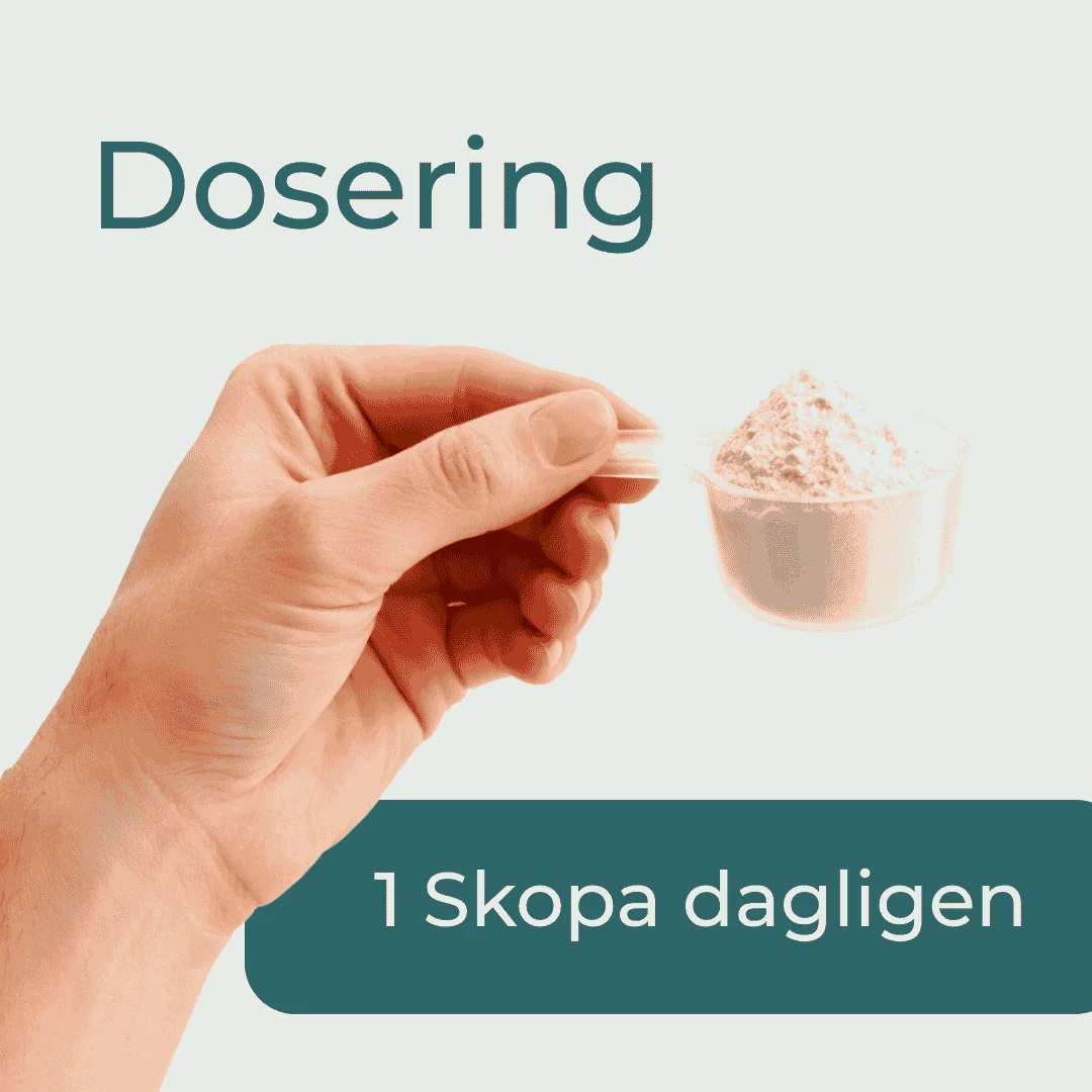 Ekologiskt Superfood Pulver - Image 4