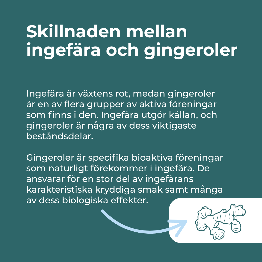 Ingefära Tabletter - Image 5
