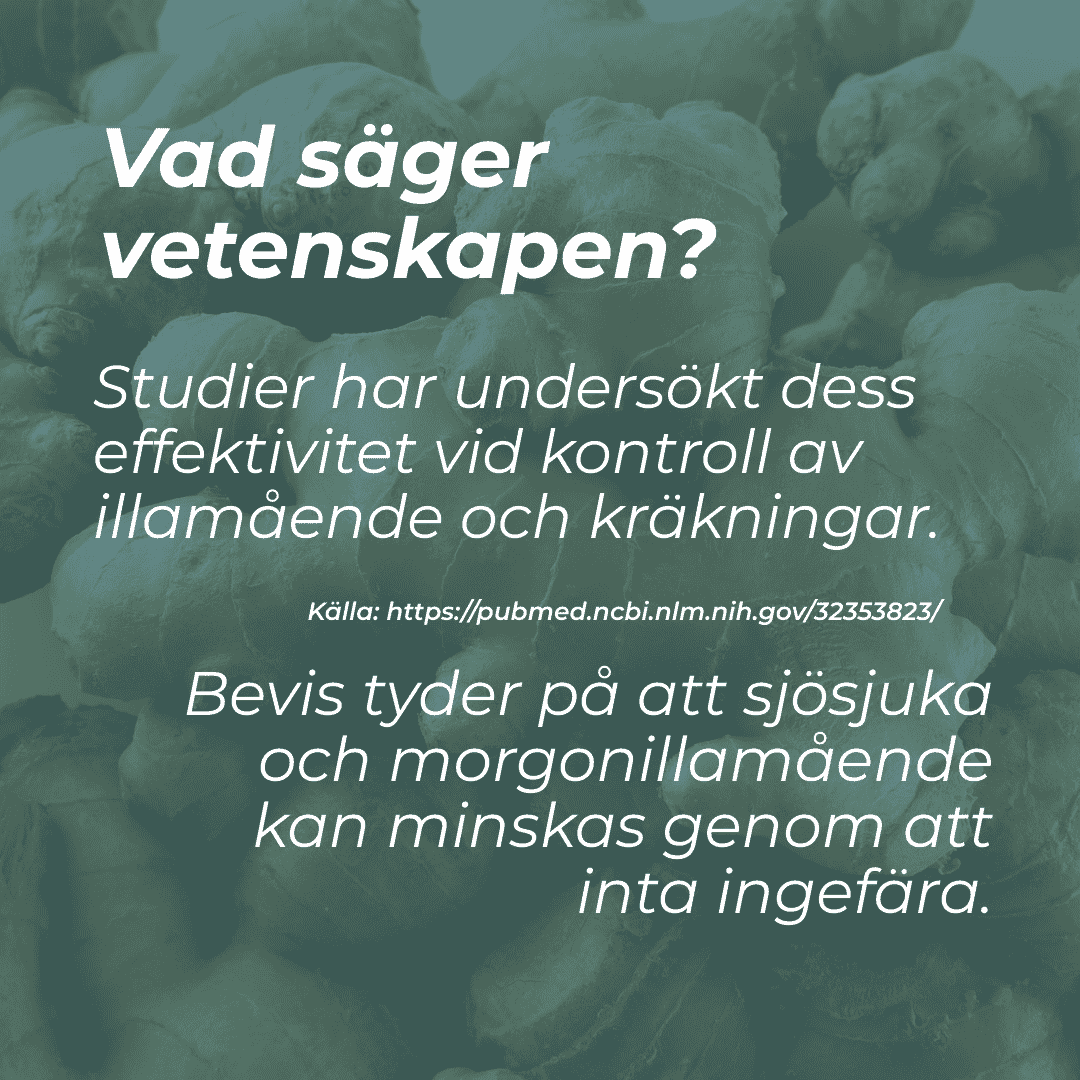 Ingefära Tabletter - Image 6