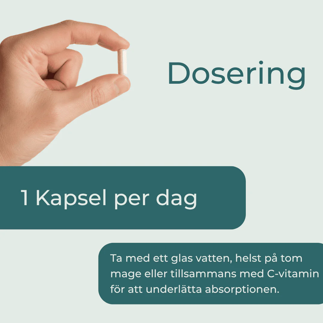 Järntabletter - Image 4