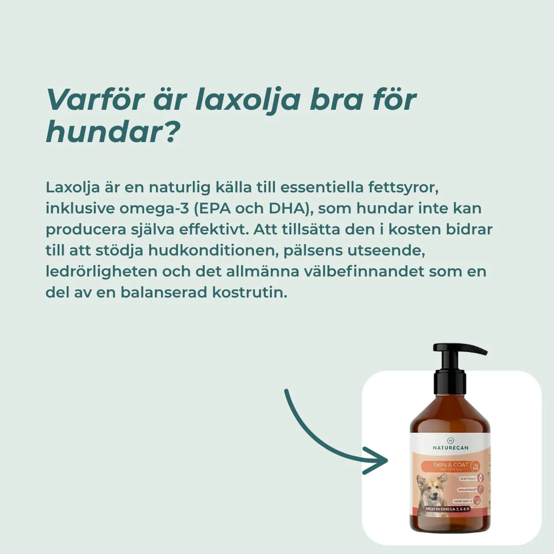 Laxolja hund - Omega-3 - Image 3