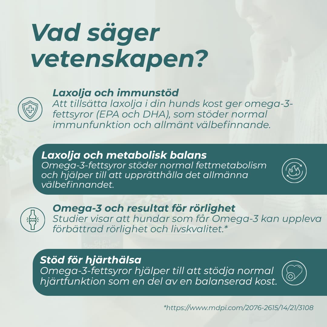 Laxolja hund - Omega-3 - Image 5