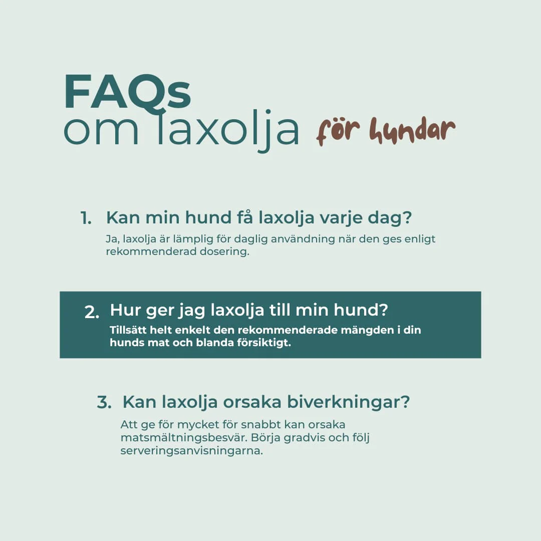Laxolja hund - Omega-3 - Image 7