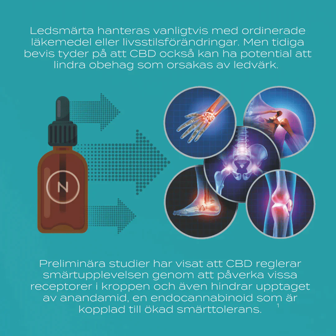 Paket för Leder och Rörlighet - Image 4