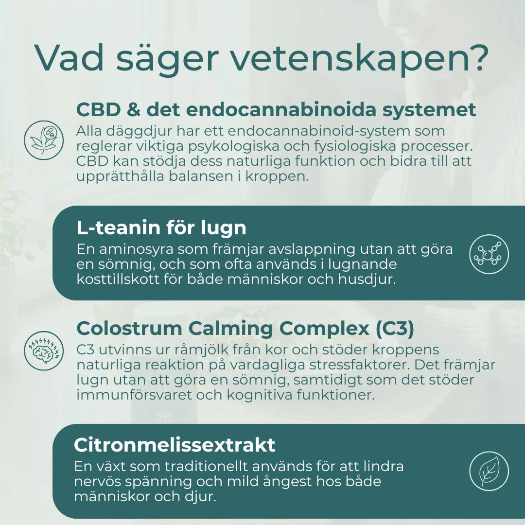 CBD Hundgodis - Lugnande - Image 6