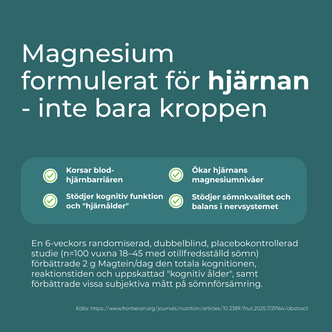 Magnesium L Threonate - Image 4