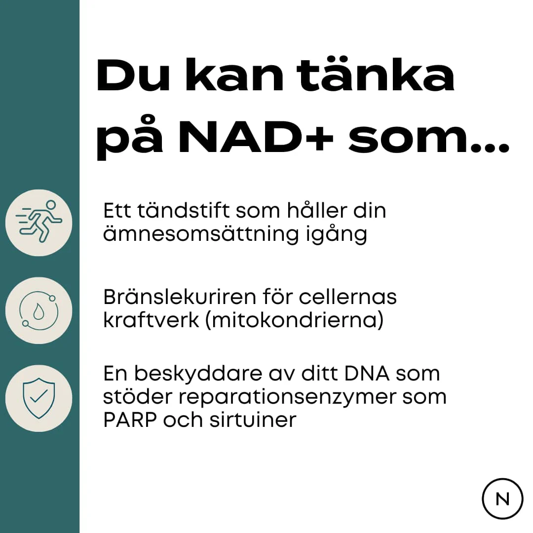 NAD Kosttillskott (NR) - 90st kapslar - Image 2