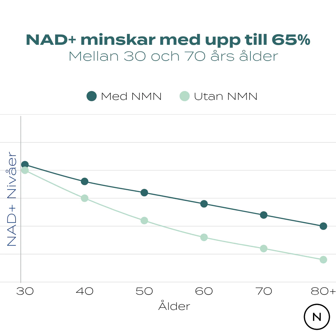 NMN tillskott - 99% rent - NAD+ förstärkare - Image 5