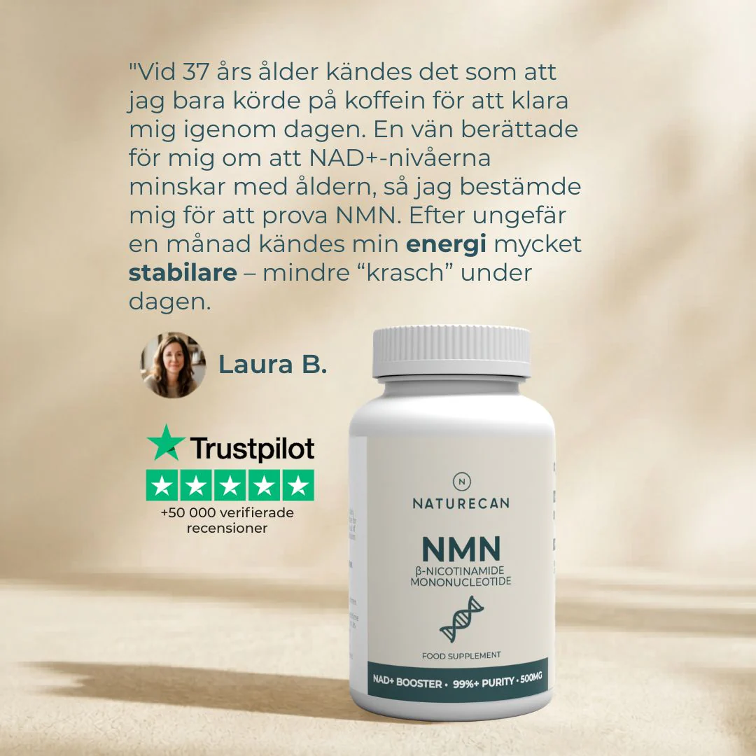 NMN tillskott - 99% rent - NAD+ förstärkare - Image 2