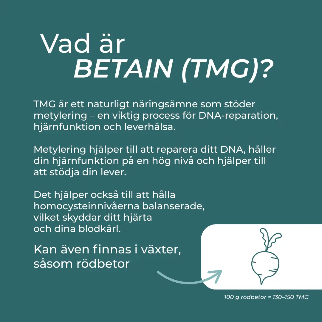 TMG Tillskott - Image 3
