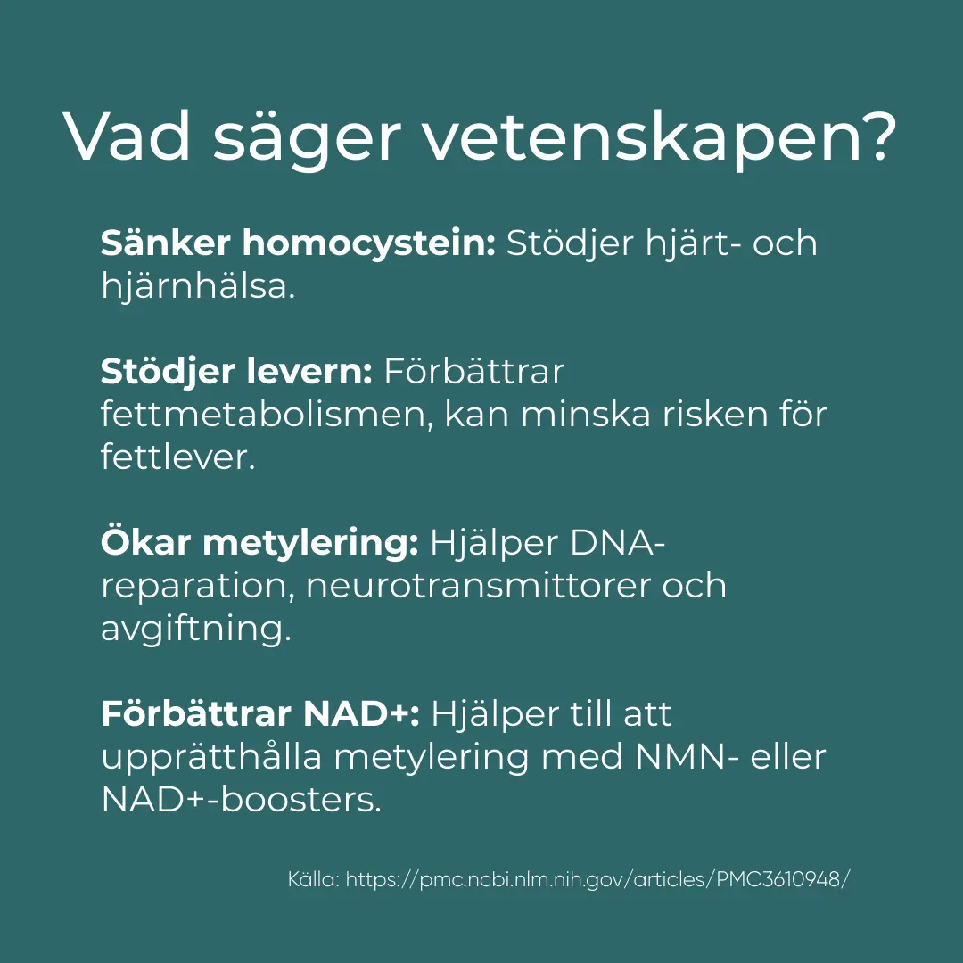 TMG Tillskott - Image 4
