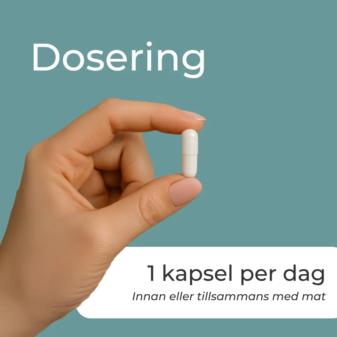 TMG Tillskott - Image 6