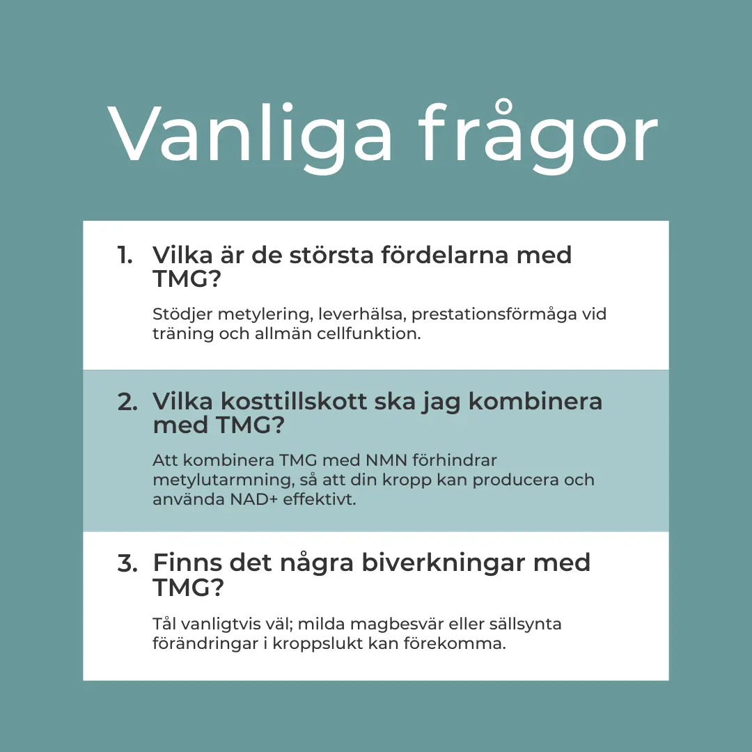 TMG Tillskott - Image 8