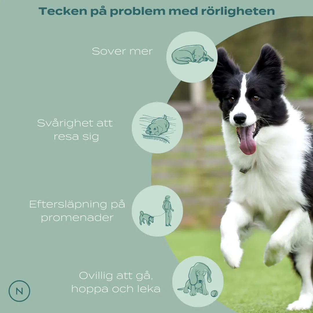 UC-II® för lederproblem, artros & inflammation - hund - Image 5