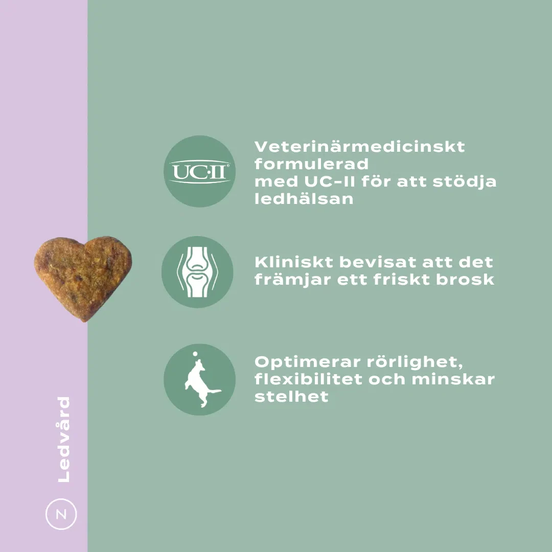 UC-II® för lederproblem, artros & inflammation - hund - Image 6