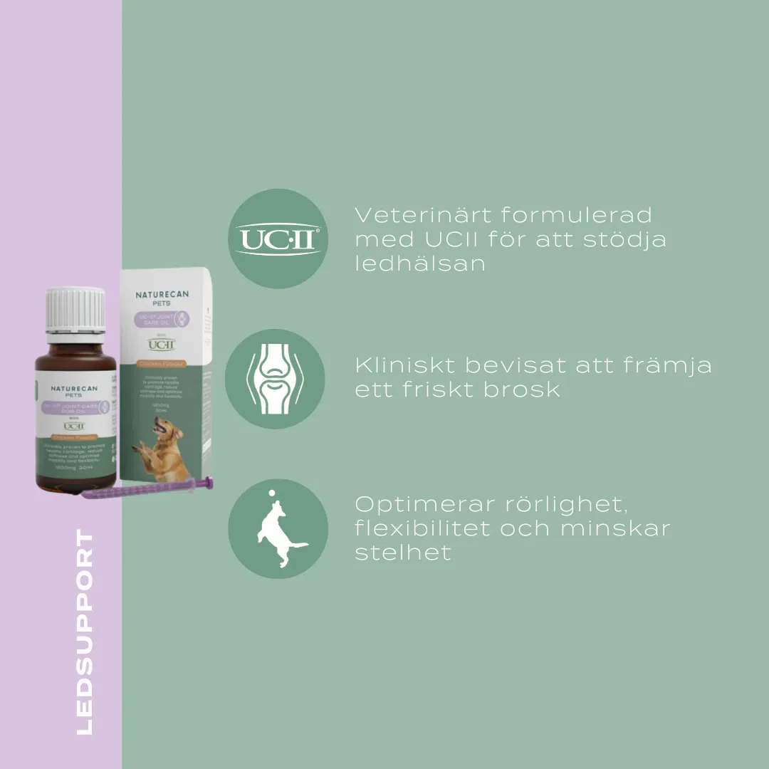 UC-ll® Olja för lederproblem, artros & inflammation - hund - Image 2