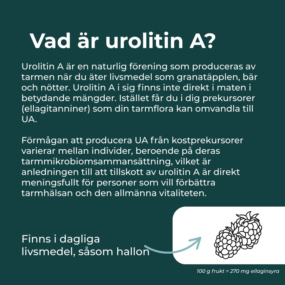 Urolithin A - Image 2