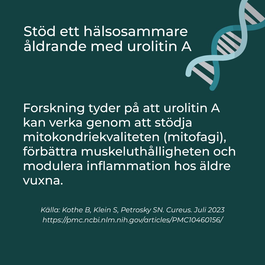 Urolithin A - Image 3
